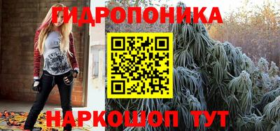 молекула духа Берёзовский