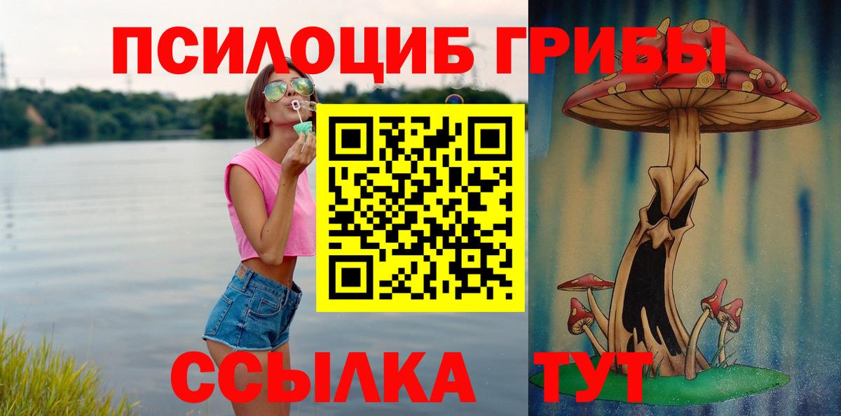 Псилоцибиновые грибы Psilocybine cubensis  Псилоцибиновые грибы MAGIC MUSHROOMS  Киржач  Вход с VPN 